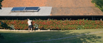 Still frame Ples življenja (s.d.)