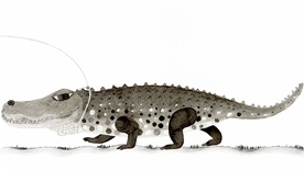 Still frame The Woman and the Crocodile (2026)