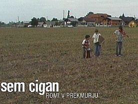 Sem cigan, Romi s Prekmurja (2006)
