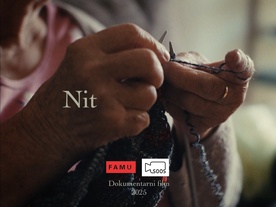 Nit (2025)