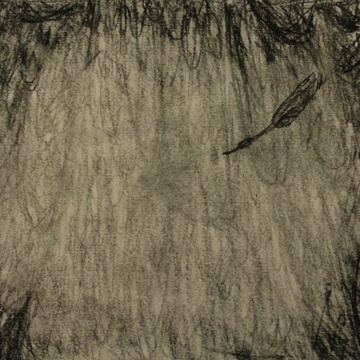 Still frame Perje z vonjem morja (2019)