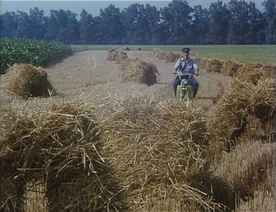 Still frame Kmetijskega proizvajalca Mikolaša prvi dopust (1984)