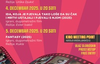 Za nami so 9. Dnevi novega slovenskega filma v Sarajevu