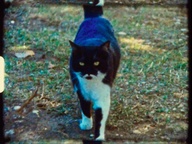 Still frame Long Dumb Voices ~ Baby Blue (2025)