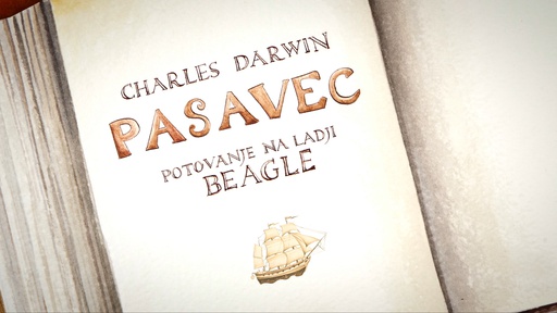 Still frame Potovanje na ladji Beagle - Pasavec (2013)