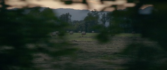 Kader iz filma Soseska 23 (2025)