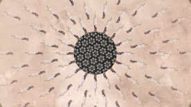 In Search of Essence (2022)