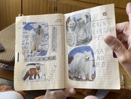 Kader iz filma Babiščina (2024)