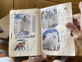 Still frame Babiščina (2024)