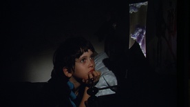 Maksimiljan Franceschini Muhič in Živalski vrt (2015).