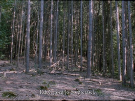 Kader iz filma Obzornik 670 – Rdeči gozdovi (2022)