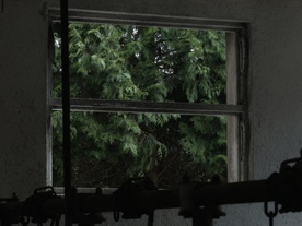 Still frame 6657 (2025)