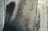 Slovenska manjšinska soprodukcija Veter v krila na mednarodnem filmskem festivalu v Rotterdamu