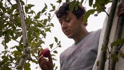 Kader iz filma După cioate (2025)