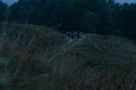 Still frame Drežniška koza in njeni ljudje (2025)