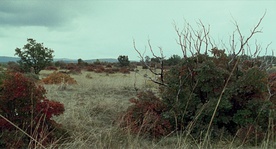 Still frame To je zemlja, brat moj (2009)