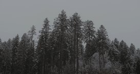 Kader iz filma Bela Koprena (2025)