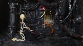 Kader iz filma Naša Gospa Trohnenja (2024)