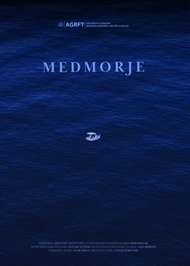 Medmorje (2025)