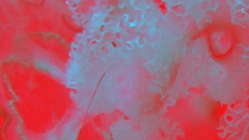 Kader iz filma Distorzija (2024)