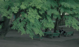 Kader iz filma V senci pomladi (2024)