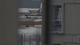 Kader iz filma Ko pridem ven (2025)