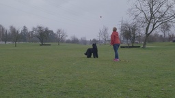 Kader iz filma Kraljeva družina (2025)