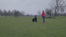 Kader iz filma Kraljeva družina (2025)