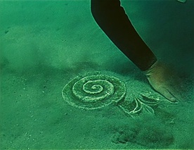Potopljena obala (1967)