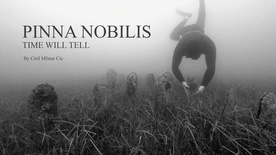 Time Will Tell (2021)