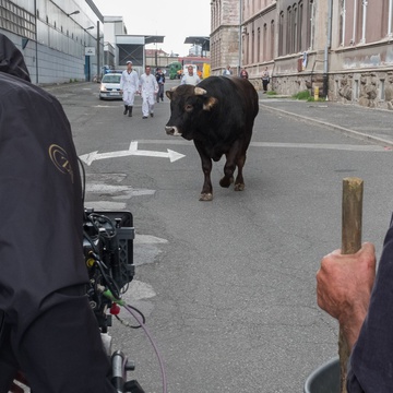 photo from set Bik (2019)