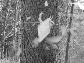 Kader iz filma Odsev (2021)