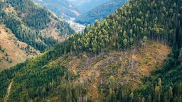 Kader iz filma După cioate (2025)