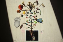 Kader iz filma Nihče ni nikoli gledal slonov kot ti (2025)