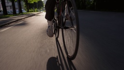 Kader iz filma PIPP (2024)