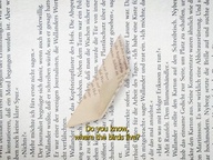 Kader iz filma Do You Know, Where the Birds Live? (2025)