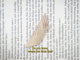 Still frame Do You Know, Where the Birds Live? (2025)