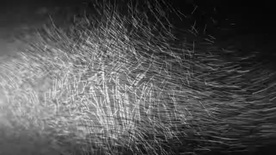 Kader iz filma Niko Novak ~ Dry Grain of Sand (2026)