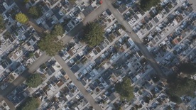 Kader iz filma Gospod golob (2016)