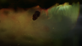 Still frame Nadstropje 4 (2025)