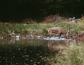 Still frame Turnir pri Šumiku (1965)