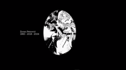 Still frame 1960-2018-2024 (2025)