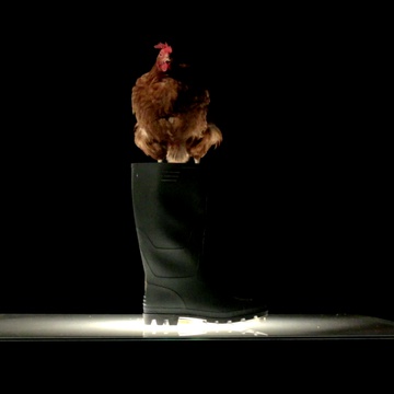 Still frame Zamejen (2016)