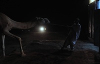 Sagar Kolektiv — 10 let filmskega ustvarjanja